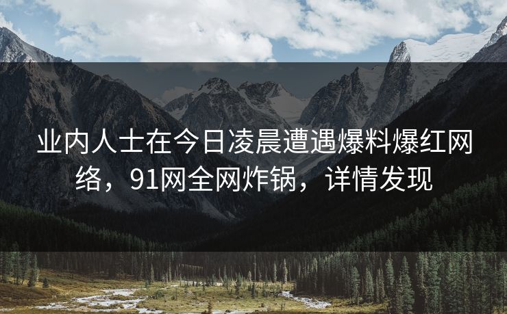 业内人士在今日凌晨遭遇爆料爆红网络，91网全网炸锅，详情发现