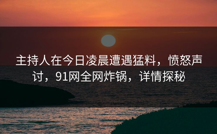 主持人在今日凌晨遭遇猛料，愤怒声讨，91网全网炸锅，详情探秘