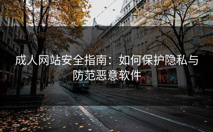 成人网站安全指南：如何保护隐私与防范恶意软件